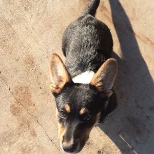 Meet your Posher, Lacey